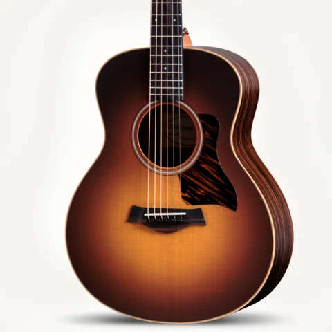 2024年の新アコースティックギター | Taylor Guitars